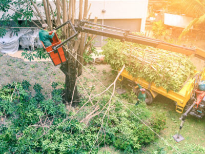 Tree Reduction and Reshaping: Different Techniques and When You Need Them