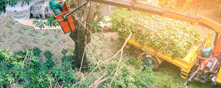 tree reduction