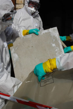 Asbestos