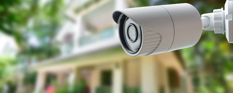 bullet cameras