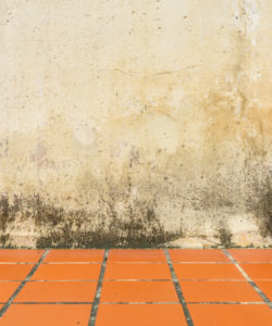Damp Proofing