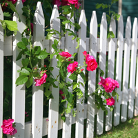 Choosing the right garden fencing