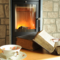 How much will a biomass boiler cost?
