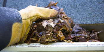 Your roof, heating and other autumn essentials