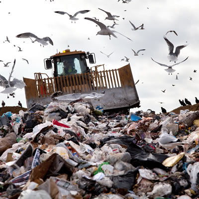 Why you Should Care About Proper Waste Removal