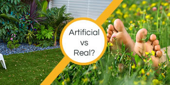 Artificial or Real?