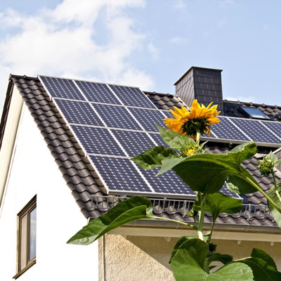The 1kW Solar Panel System: Is it For You?