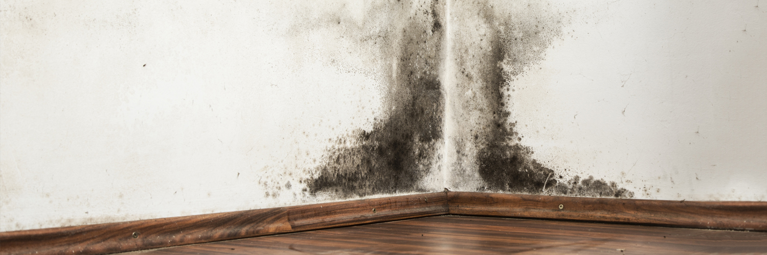 Does Cavity Wall Insulation Cause Problems?