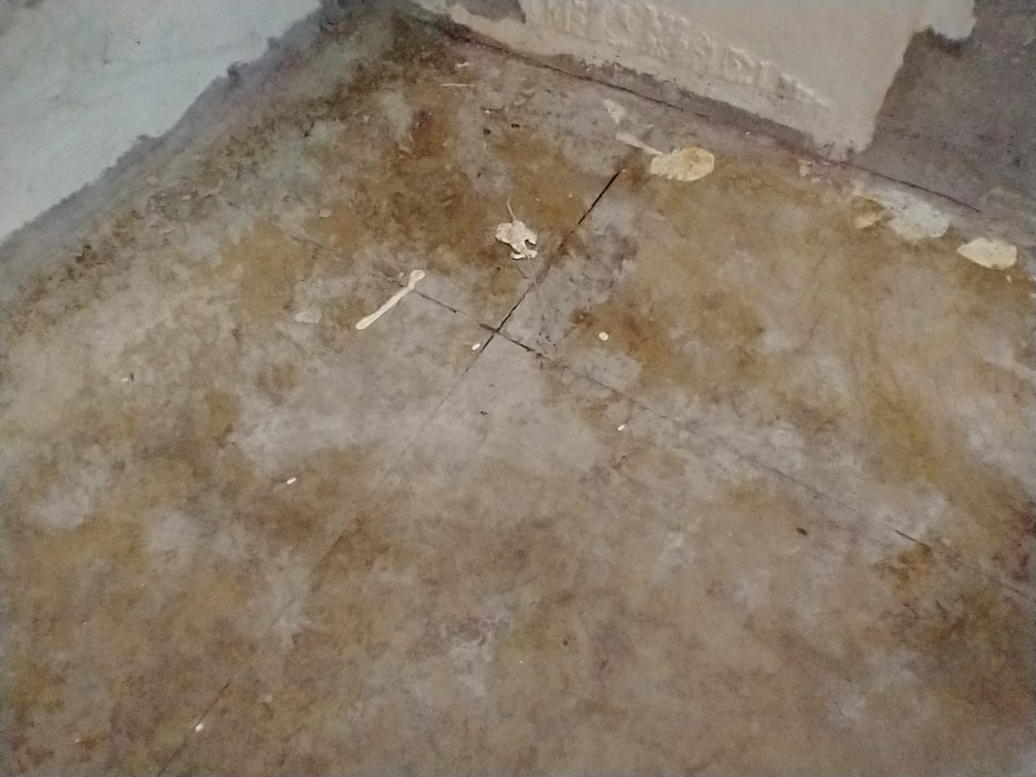 Chrysotile asbestos removal from floor tiles in utility room in Exeter