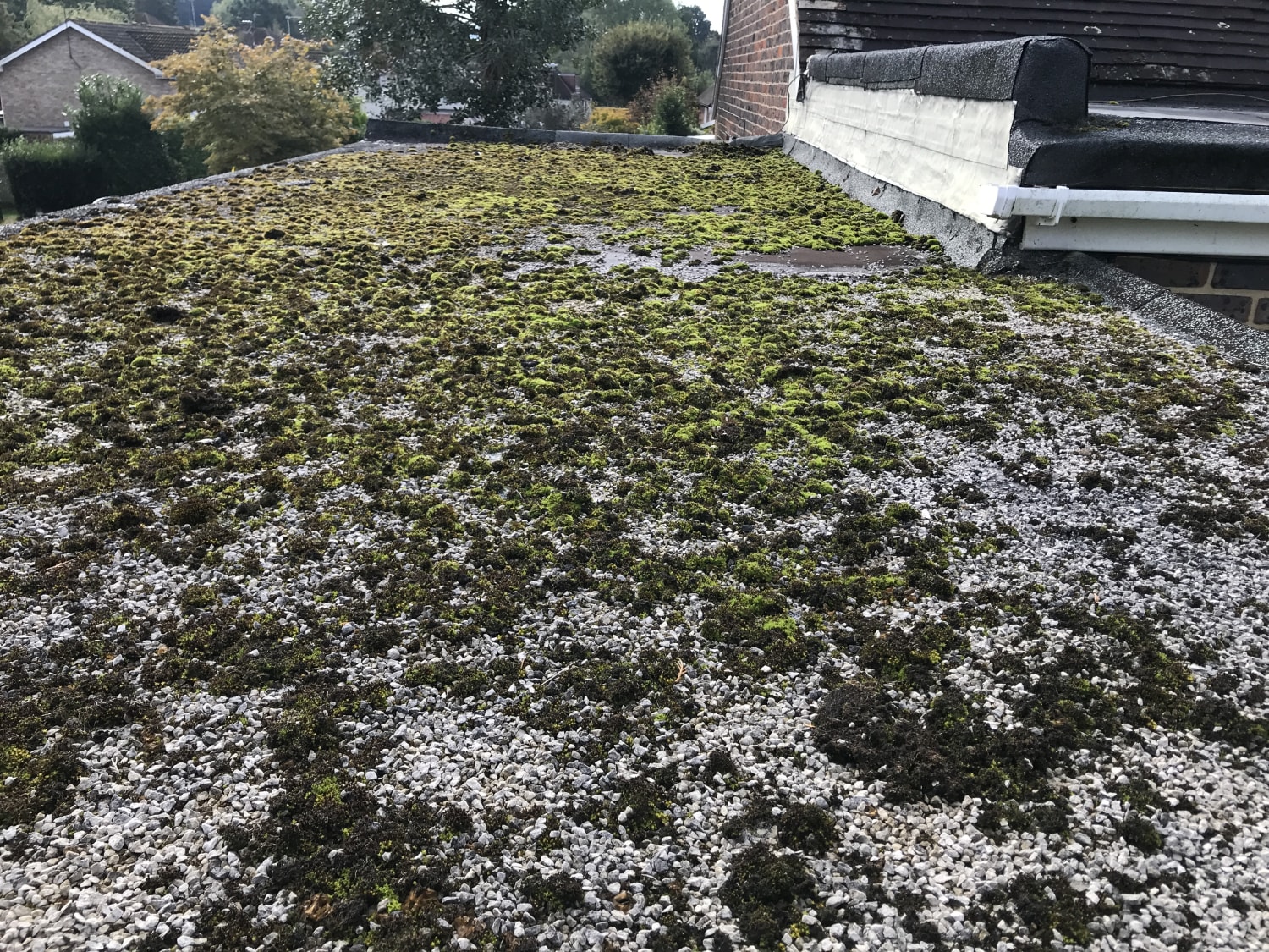 Replacement of flat garage roof with timber renewal in Henfield BN5