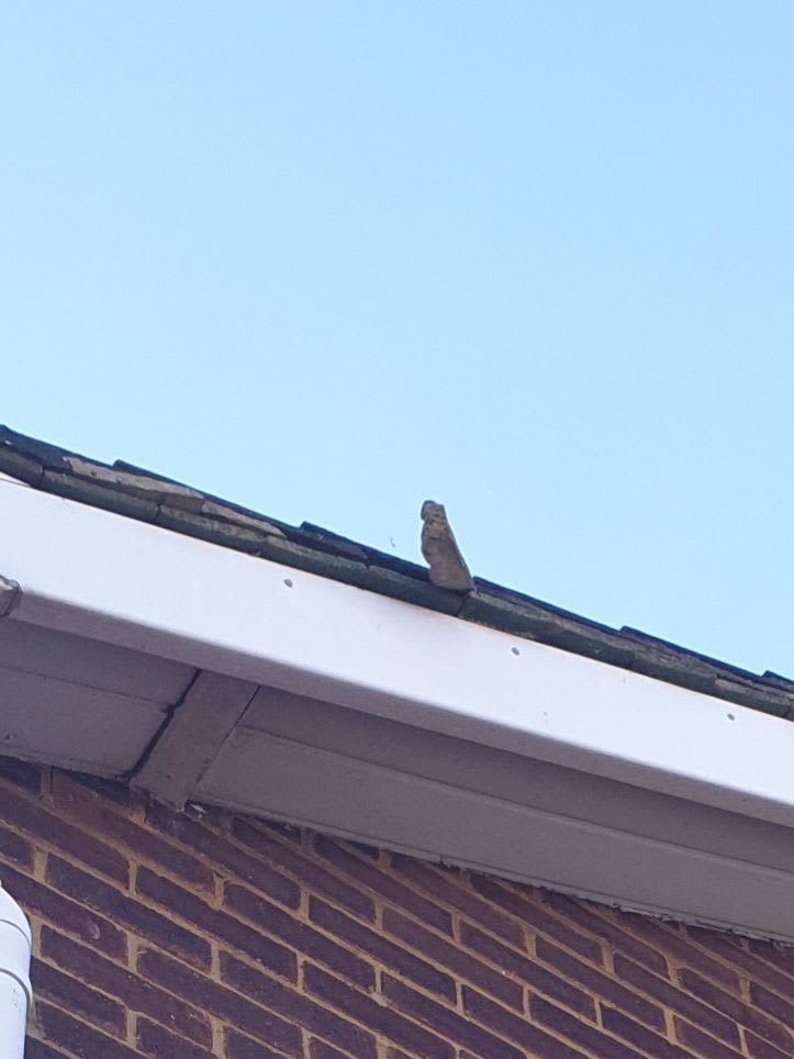 Cement layer under roof tiles protruding on side elevation in Gillingham