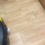 Treating drain flies in a ground floor flat in Ruislip