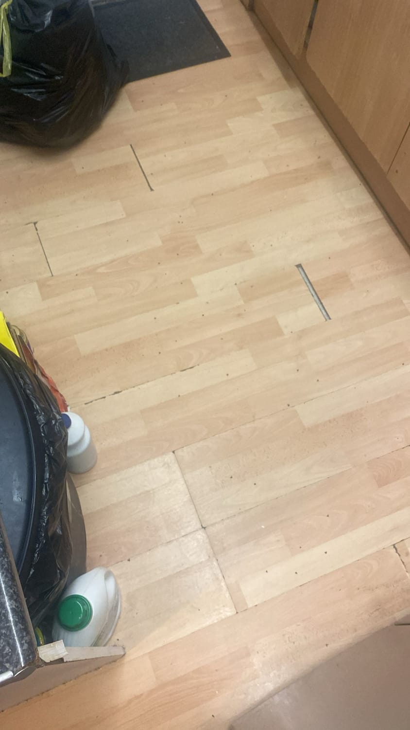 Treating drain flies in a ground floor flat in Ruislip