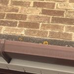 Porch flat roof and gutter cleaning in Basildon