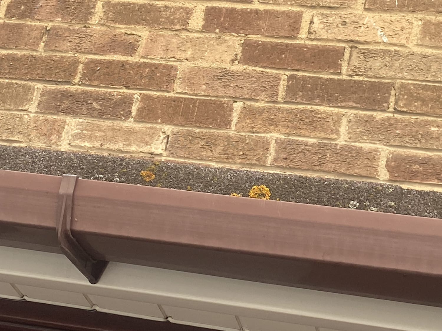 Porch flat roof and gutter cleaning in Basildon