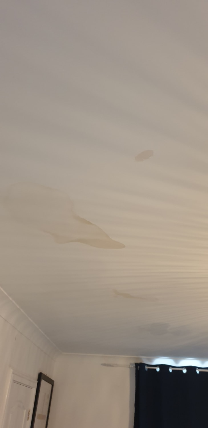 Fixing a roof leak and ceiling water damage in Swansea