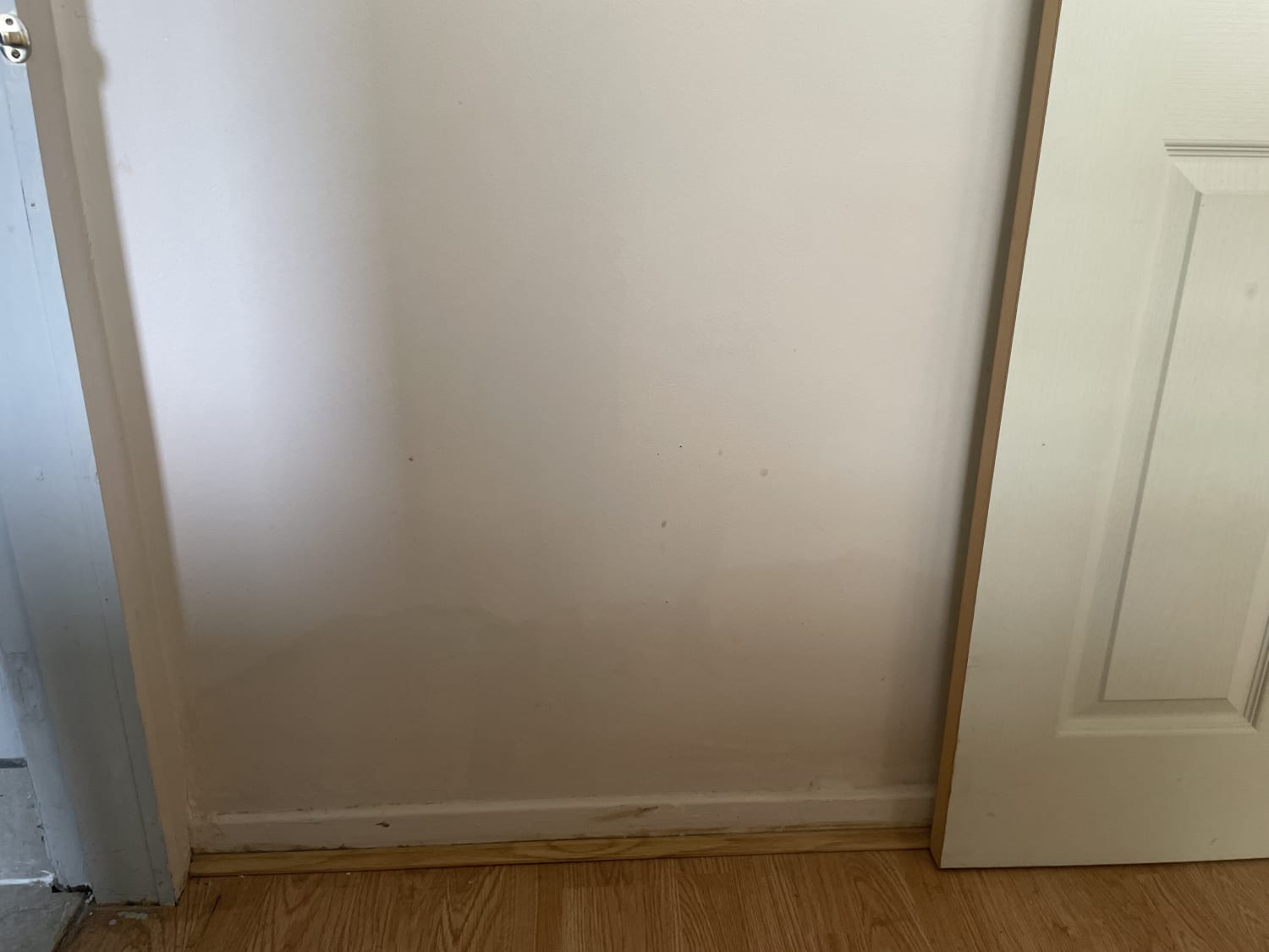 Addressing rising damp between lounge and dining room in Birmingham