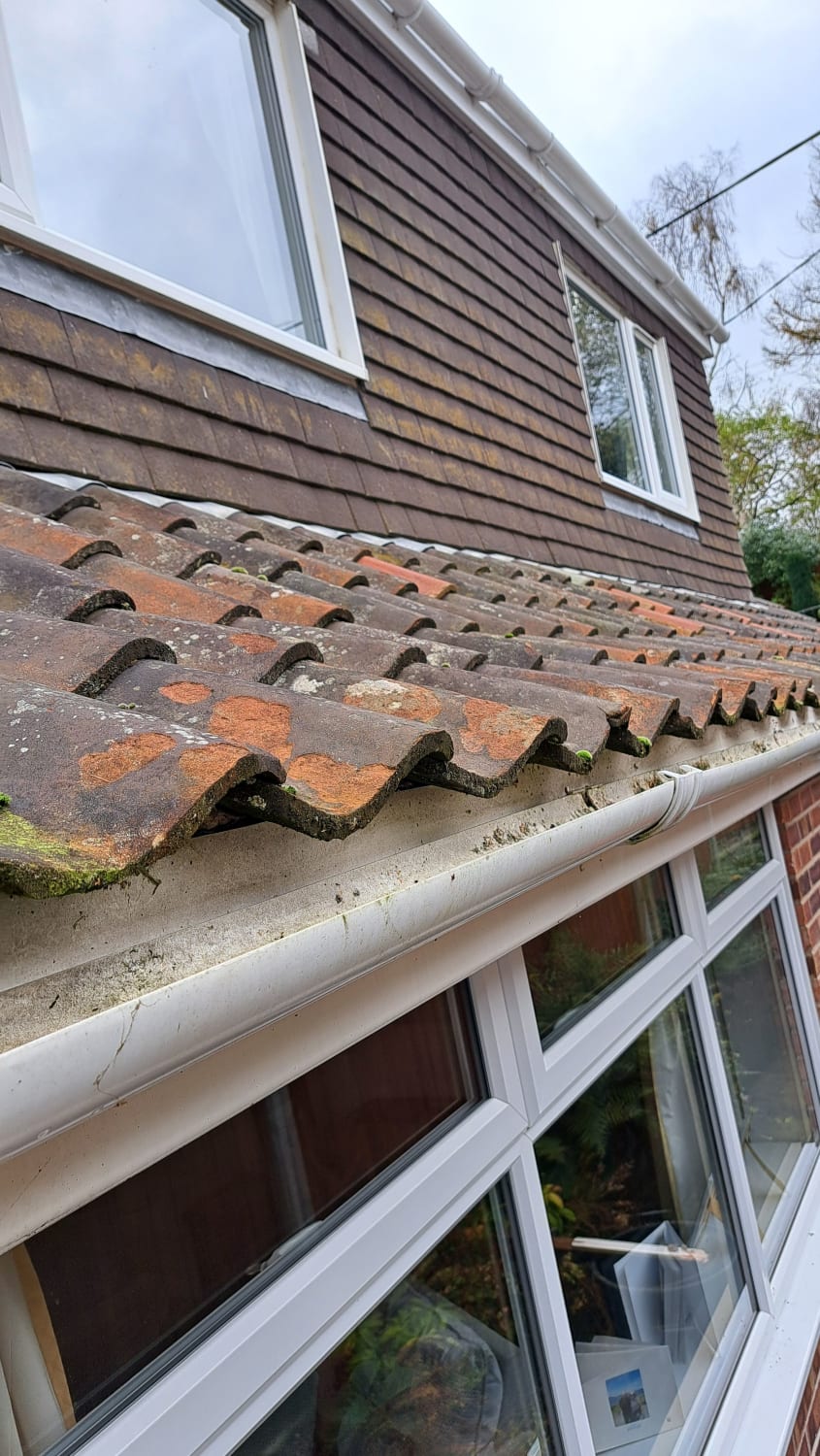 Complete pitched roof replacement with solar panels in Norwich NR10