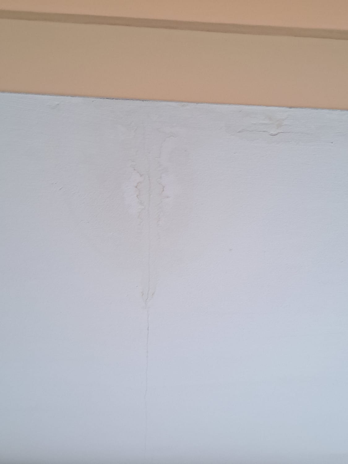 Fixing a water leak between pitched roof and bay window flat roof in Lowestoft