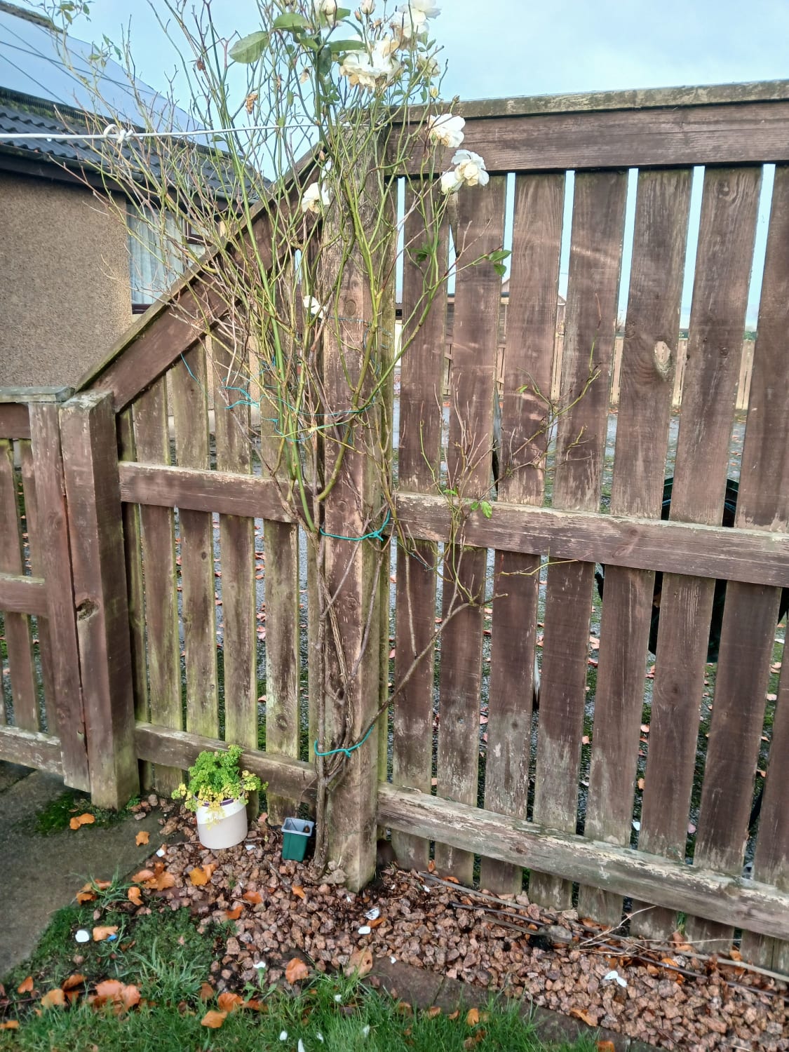 Replacement of a broken garden fence post in Culsalmond, Insch AB52