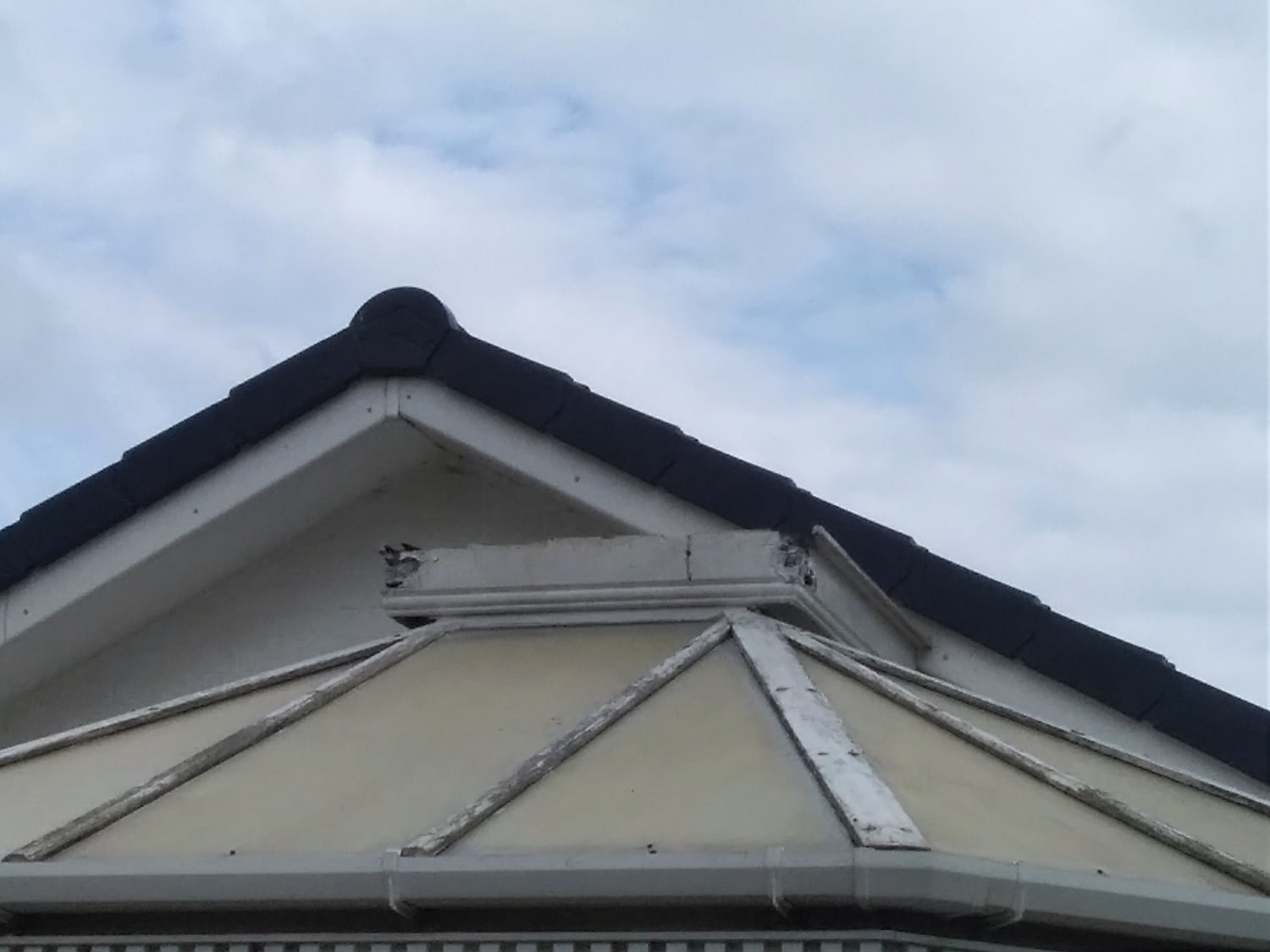 Wooden conservatory door replacement and roof repair in Darlington