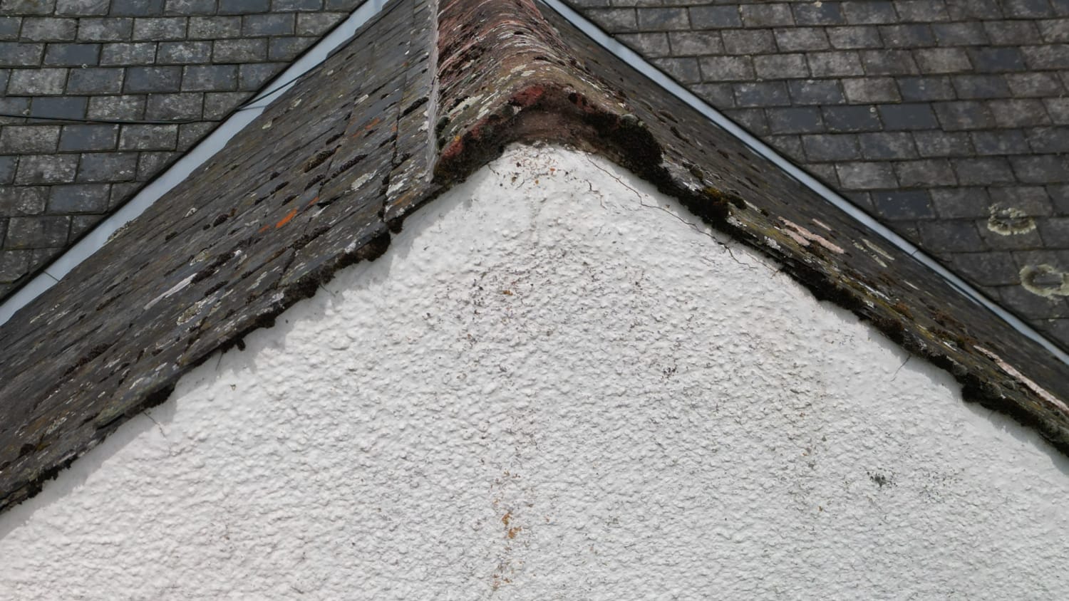 Moss removal and re-rendering for roof and walls in Blairgowrie