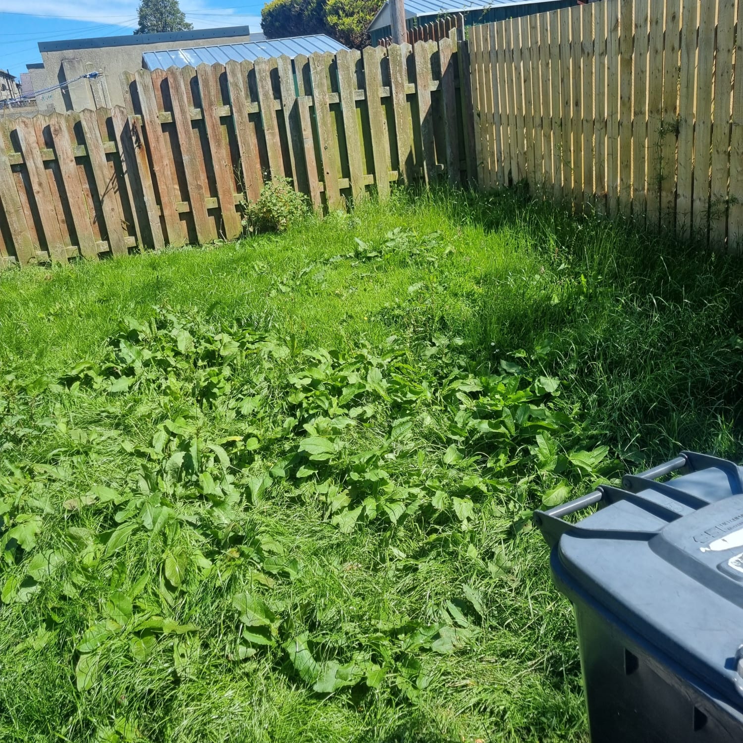 Front and back lawn mowed in Fraserburgh