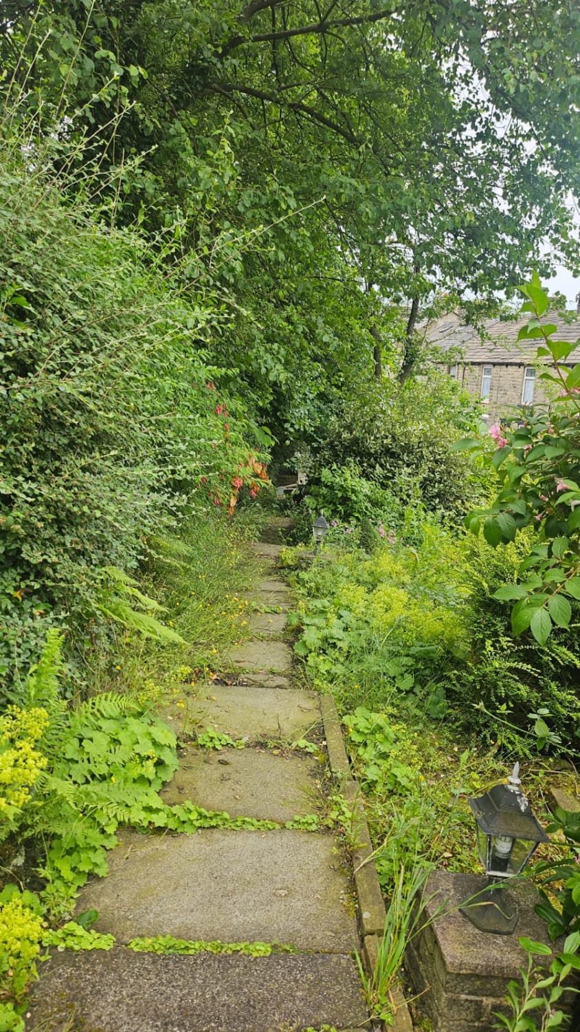Garden Tidy Up and Overgrown Tree Maintenance in Rossendale BB4