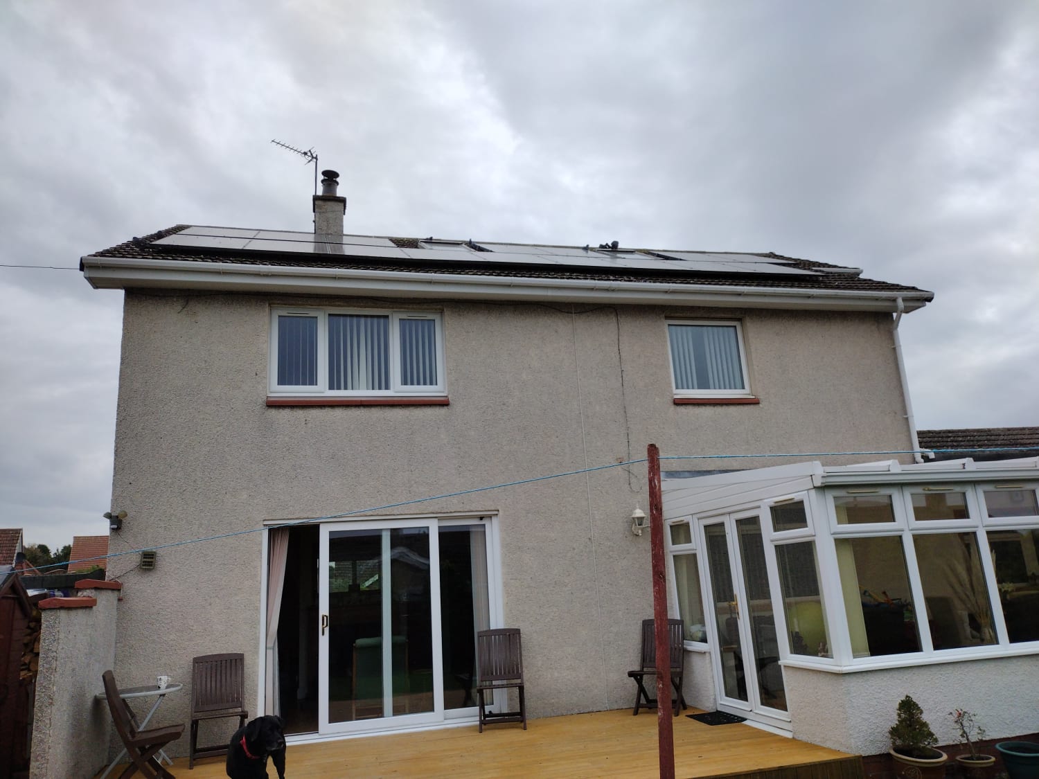 Removing pigeon nests and fitting solar panel protection in Arbroath