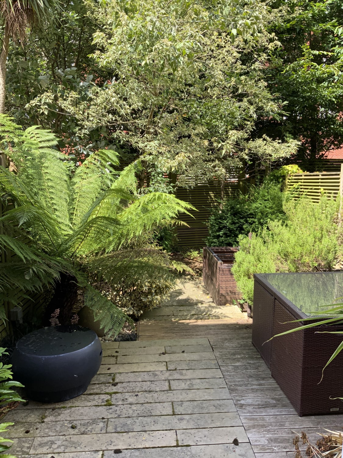 One off pruning and trimming small courtyard garden in Woodbridge