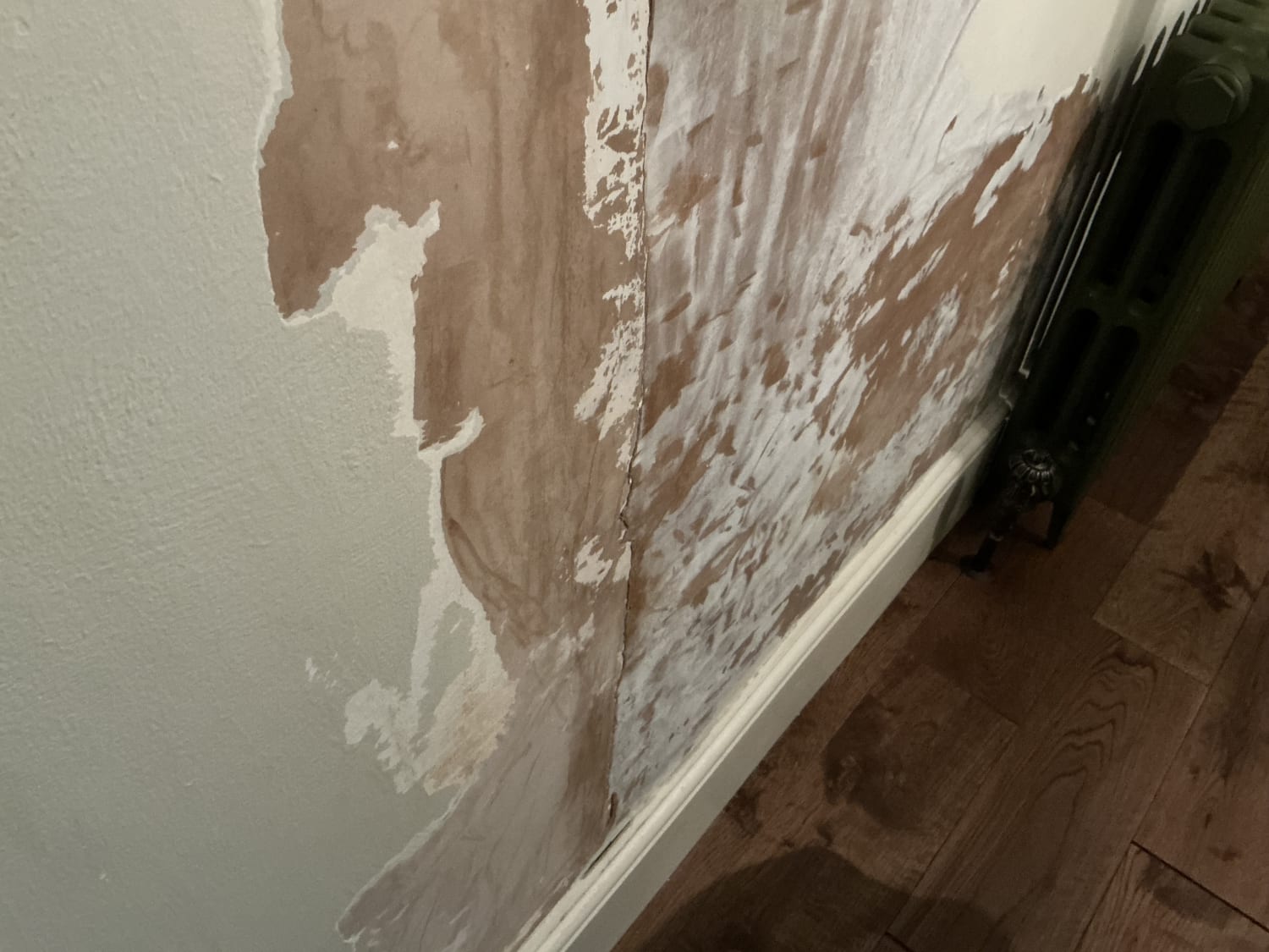 Remedying rising and penetrating damp in party wall in Penzance