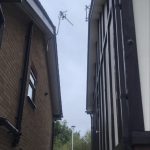 Safe Removal of a Wasps Nest from a Roof in Loughborough