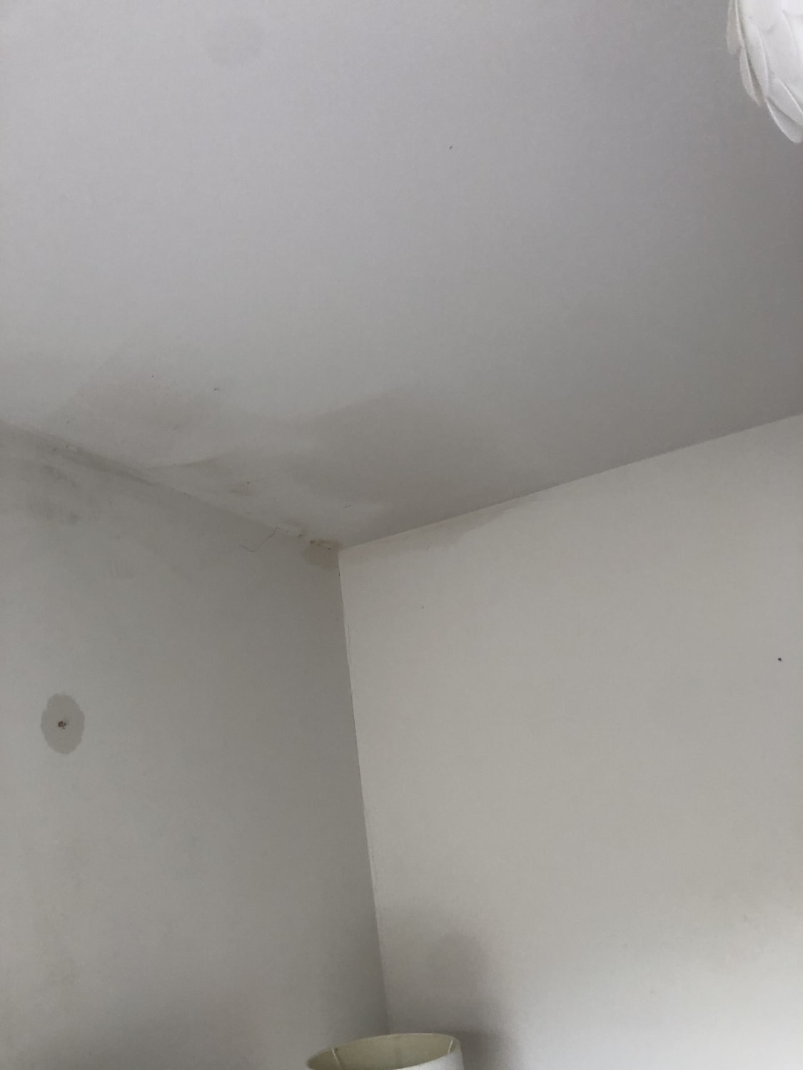 Chimney and leaking roof repair in Swansea with ceiling damage