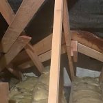 Investigating and repairing roof leak in Omagh