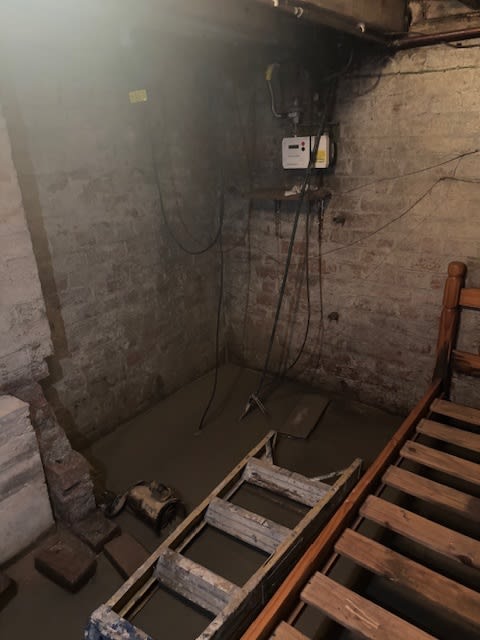 Mould and damp issues caused by cellar water in Sheffield