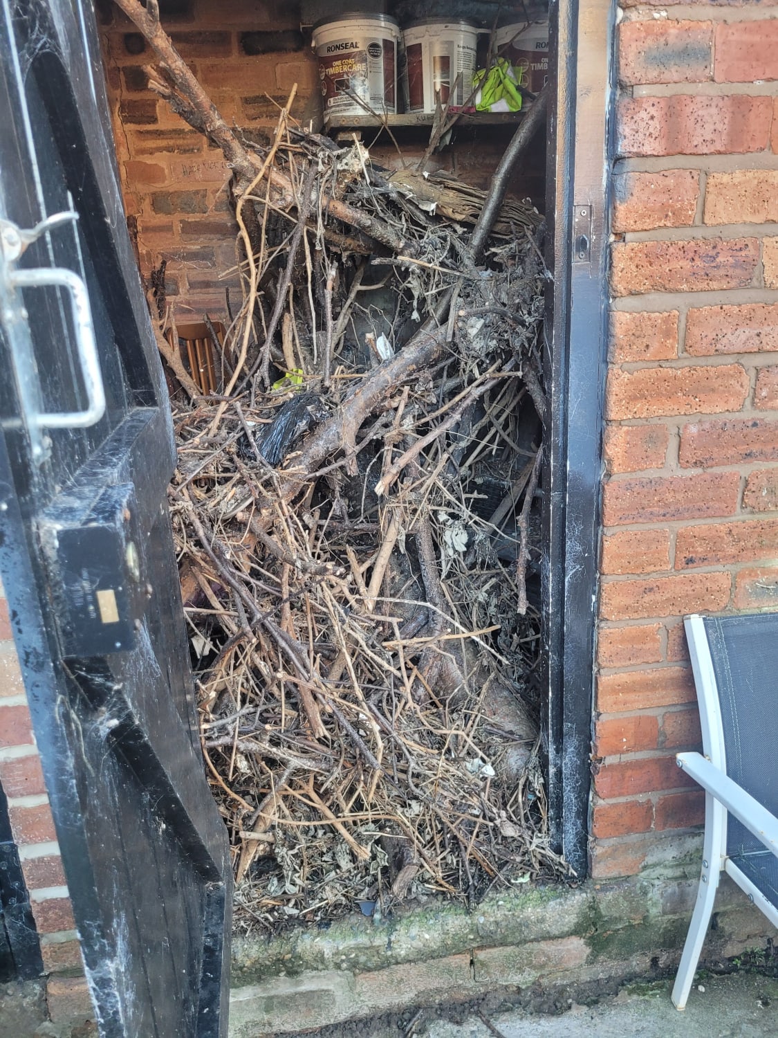 Clearing alleyway and shed waste in Deeside
