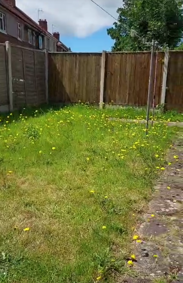 Monthly grass mowing and hedge trimming in Doncaster
