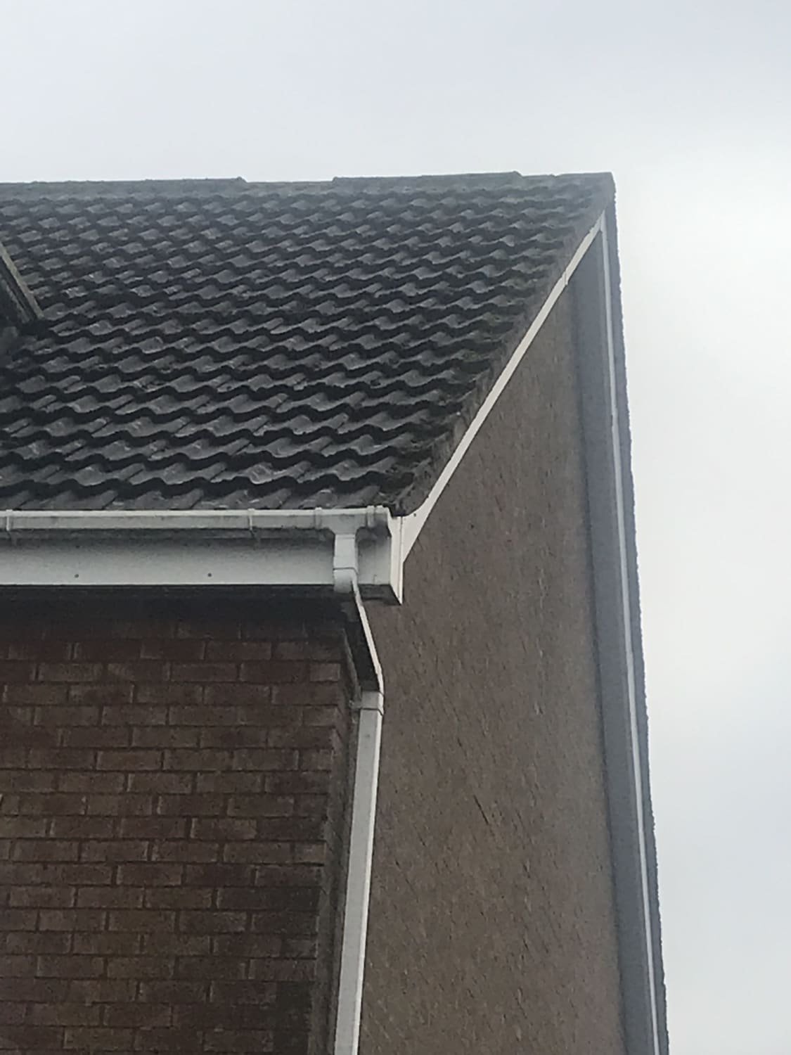 Storm damaged ridge tile replacement in Glasgow