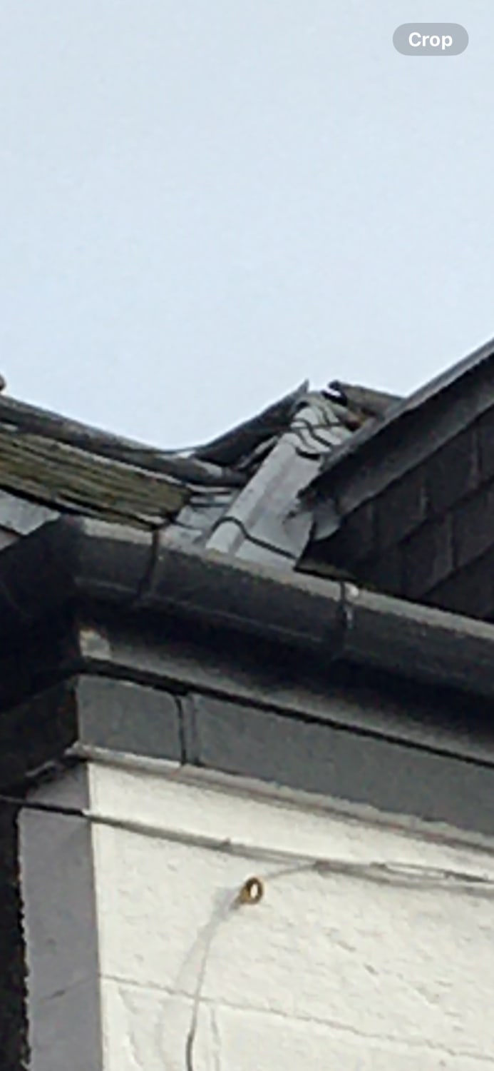 Storm damaged roof ridge tile replacement and roof repairs in Leven ...