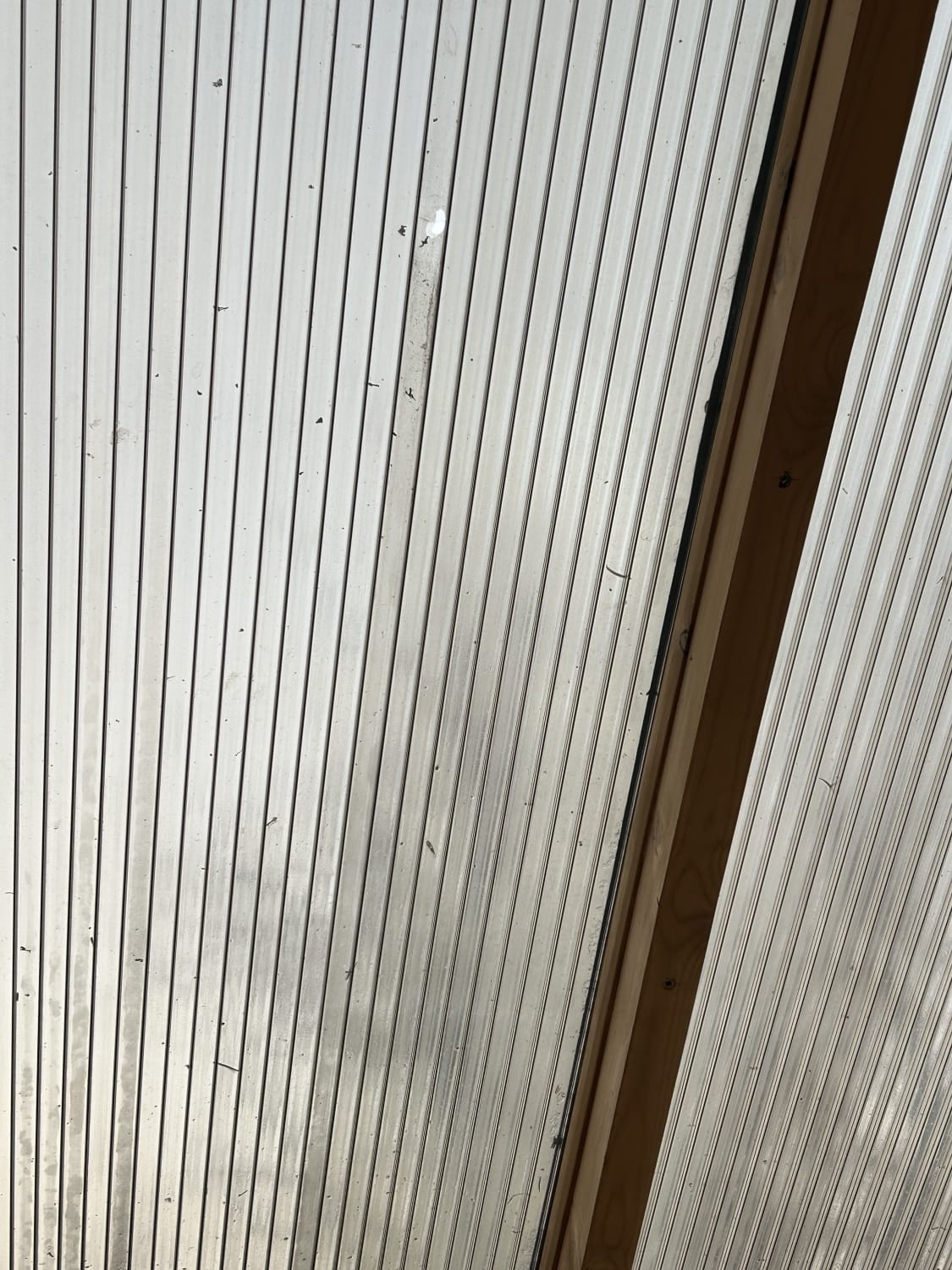 Polycarbonate sheet replacement after storm damage in Dumfries
